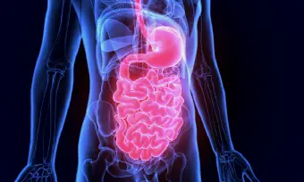 Más allá del diagnóstico: el rol terapéutico y preventivo de la endoscopía digestiva
